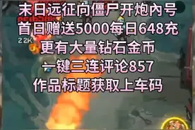 末日远征向僵尸开炮内部号兑换码攻略，评论888主页简介获取名额