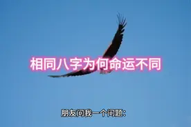 相同出生时间，为何命运不同视频封面