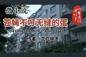 山东老任讲故事之微小说《苍蝇不叮无缝的蛋》作者：兀兀碎念