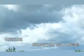 风行万里视频封面