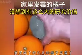 发霉橘子也能卖，没想到发霉的霉菌有研究价值！