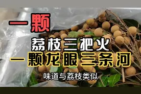 广东有句谚语，叫一颗荔枝三把火一颗龙眼三条河。知道是为什么吗