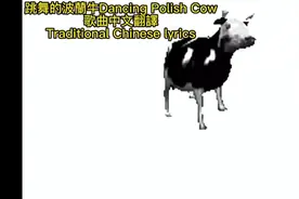 跳舞的波兰牛本歌词polish cow
