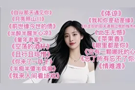 2025最火爆车载DJ歌伴舞《自从那天遇见你》《前世缘今世的债》