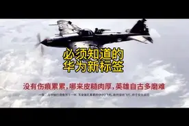 华为的这些新标签你知道吗？视频封面