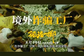 一口气看完《孤注一掷》视频封面