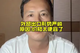 外贸出口形势严峻，原因:价格太便宜了？视频封面