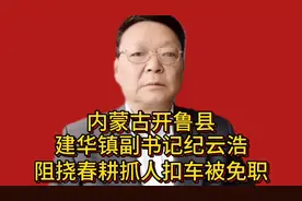 内蒙古开鲁县，建华镇副书记纪云浩，阻挠春耕抓人扣车被免职视频封面