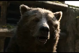 这是我见过最大的红猩猩视频封面