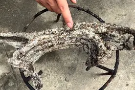 放了24年的腊肉长满霉斑和包浆 不知道里面啥样了 切开后被惊艳了视频封面