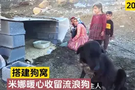 米娜女儿即将上学？暖心收留流浪狗，米娜带3娃最新后续视频封面