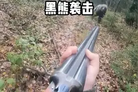 黑熊看到猎枪，赶紧绕开