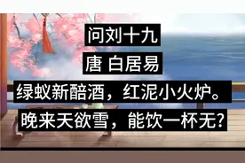 今天学习古诗《问刘十九》唐白居易。绿蚁新醅酒，红泥小火炉