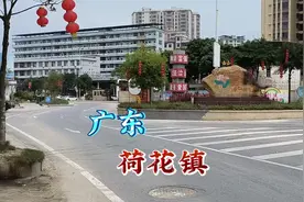 广东高州市荷花镇视频封面