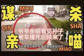 爷爷亲眼看见孙子被车撞死后续来了视频封面