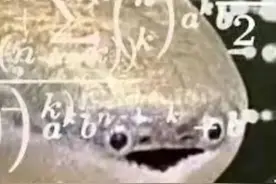 #这是主播所有的表情包#所以大家懂得都懂视频封面