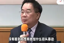 蔡正元：“二二八事件”存在“大谎言 ”