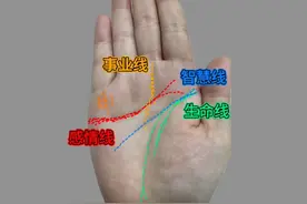 双生命线，生命力强，精力充沛。