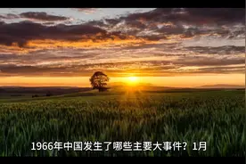 1966年中国发生了哪些主要大事件？