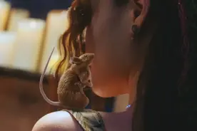 韩国女团4k高清MV（비비 (BIBI) - 밤양갱）