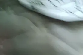 马桶人英文版加中文版视频封面