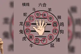 生肖六合，你能记住多少？！