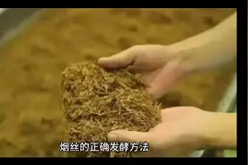 这个视频教你轻松发酵口粮烟丝，快跟着视频一起学习起来动手吧！