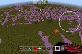 求求投诉我的世界官方这个错误贴图