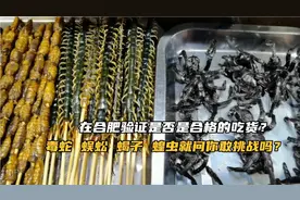 敢挑战毒蛇 蜈蚣 蝎子 蝗虫吗？在合肥验证是不是合格的吃货？视频封面