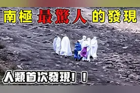 科考队在南极拍到人类首次发现的东西！简直不敢相信自己的眼睛！视频封面