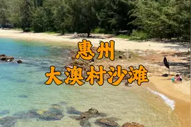 在惠州又发现了一个玻璃海沙滩，可以露营赶海玩水，免费！