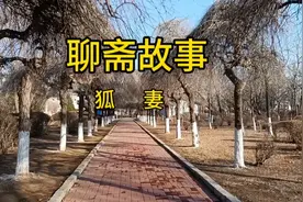 人与狐妖故事视频封面