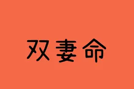 双妻双夫命长什么样？视频封面