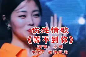 一首女声伤感情歌《等不到你》歌声深情，句句感人心脾，百听不厌视频封面