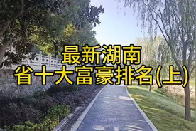 最新湖南省十大富豪排名(上)视频封面