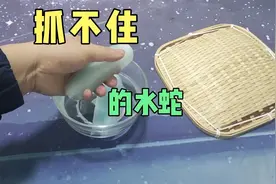 测试用退热贴制作一个抓不住的水蛇，是真的吗