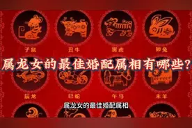 属龙女的最佳婚配属相视频封面