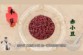 本草之赤小豆，祛湿消肿