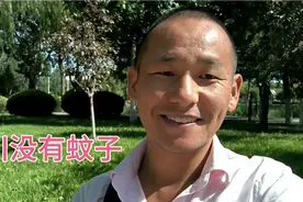 银川一座没有蚊子的城市，国内还有谁视频封面