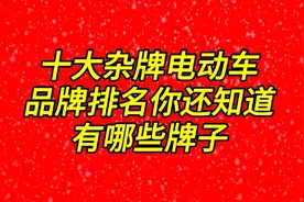 十大杂牌电动车品牌排名，你还知道有哪些牌子？