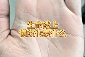 生命线横纹代表什么