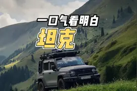 一口气看明白 #坦克 全系列怎么选 #坦克300  #坦克500