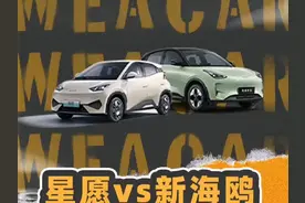 吉利星愿vs智驾版海鸥,智驾虽好可别上头! #吉利星愿 #比亚迪海鸥
