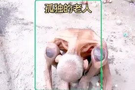 八旬老人遭家人拋弃，瘦到皮包骨头无奈指能到处乞讨。视频封面