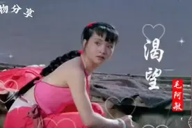 毛阿敏的《渴望》原唱完整版，经典永不过期，勾起多少人的回忆