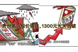 《贵州茅台股价骤跌，1300元大关告破，行业影响几何？》视频封面
