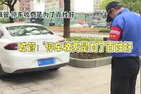 城管：停车收费是为了百姓好，价格是有效管理方法视频封面