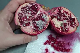 吃完石榴的籽不要扔掉，把它种在花盆里还能这样生长。