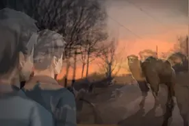 如果碰到口吐白沫的骆驼，请马上逃跑视频封面