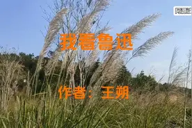 王朔文章：我看鲁迅，第二集视频封面
